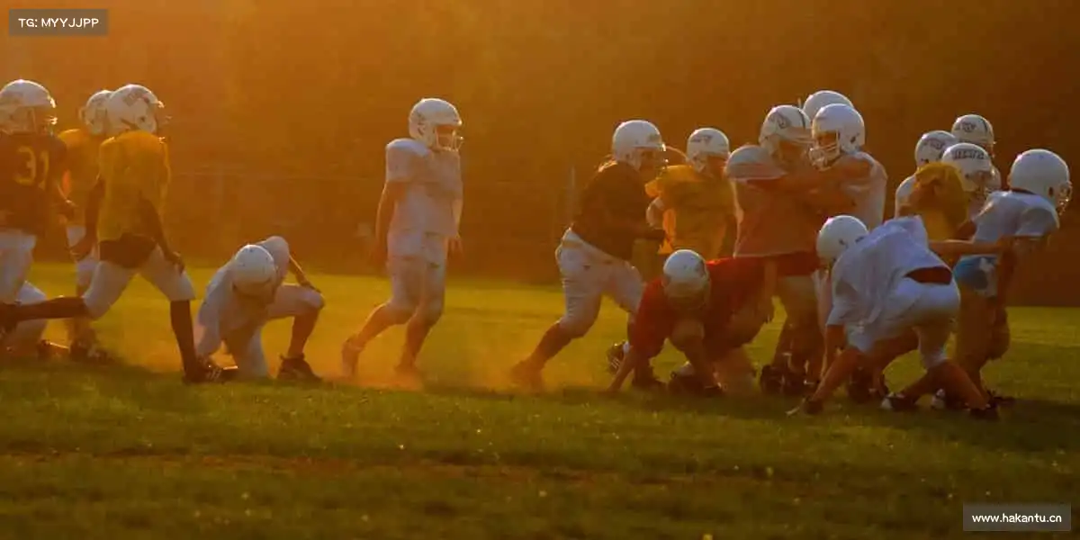 行业领先的理由